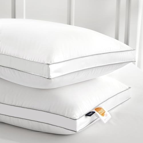 Globon Luxury Down Pillow King Size Set of 2