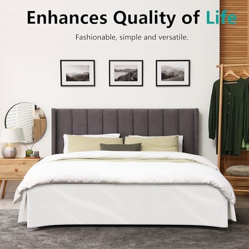 WVM Soft Quadruple Pleated Bed Skirt for Queen Bed