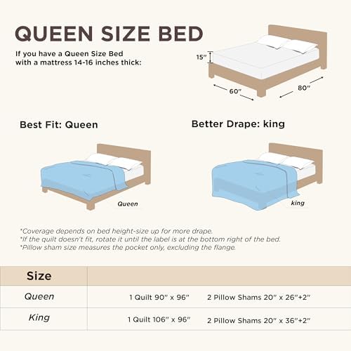 Bedsure Queen Quilt Set - Ultra Soft Lightweight Leaf Design