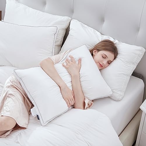 Globon Luxury Down Pillow King Size Set of 2