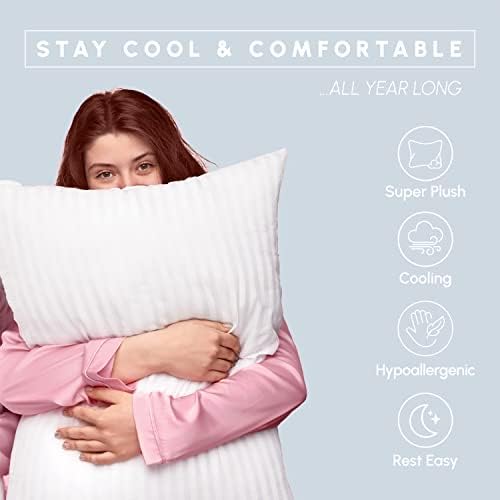 Elegant Comfort 100 Cotton Shell Stripe Hotel Pillows 2-Pack