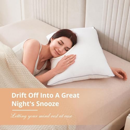 Sasttie Queen Pillows Set of 2 Hotel Collection