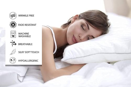 Prashi Euro Pillow Shams Pack of 2 600 Thread Count Egyptian Cotton Black