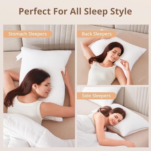 Sasttie Queen Pillows Set of 2 Hotel Collection