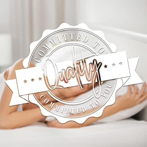 Elegant Comfort 100 Cotton Shell Stripe Hotel Pillows 2-Pack