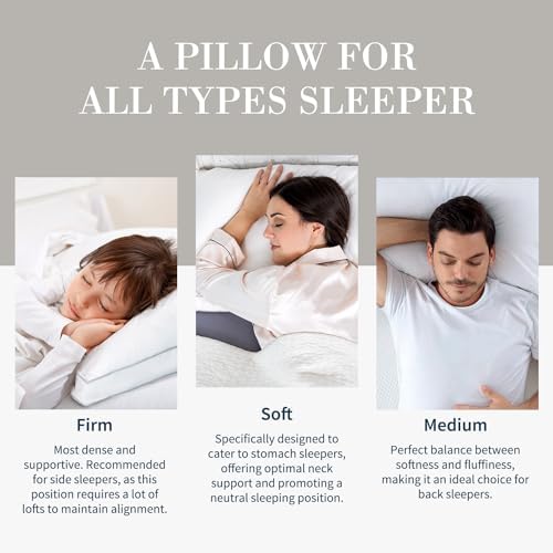Globon Luxury Down Pillow King Size Set of 2