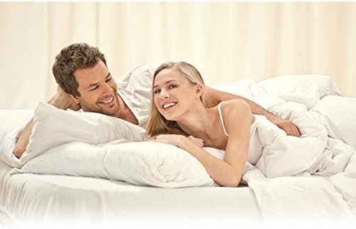 Intex Comfort Plush Queen Airbed with Electric Pump