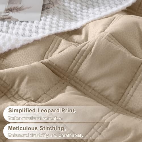 HiSnug Beige Quilt Set Queen Size 3 Pieces