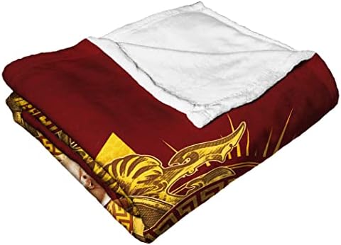 Northwest DC Shazam Silk Touch Throw Blanket 50x60