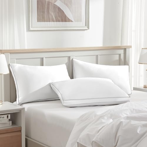 Globon Luxury Down Pillow King Size Set of 2