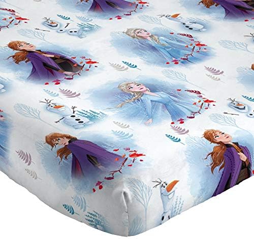 Jay Franco Disney Frozen 2 Forest 4 Piece Sheet Set