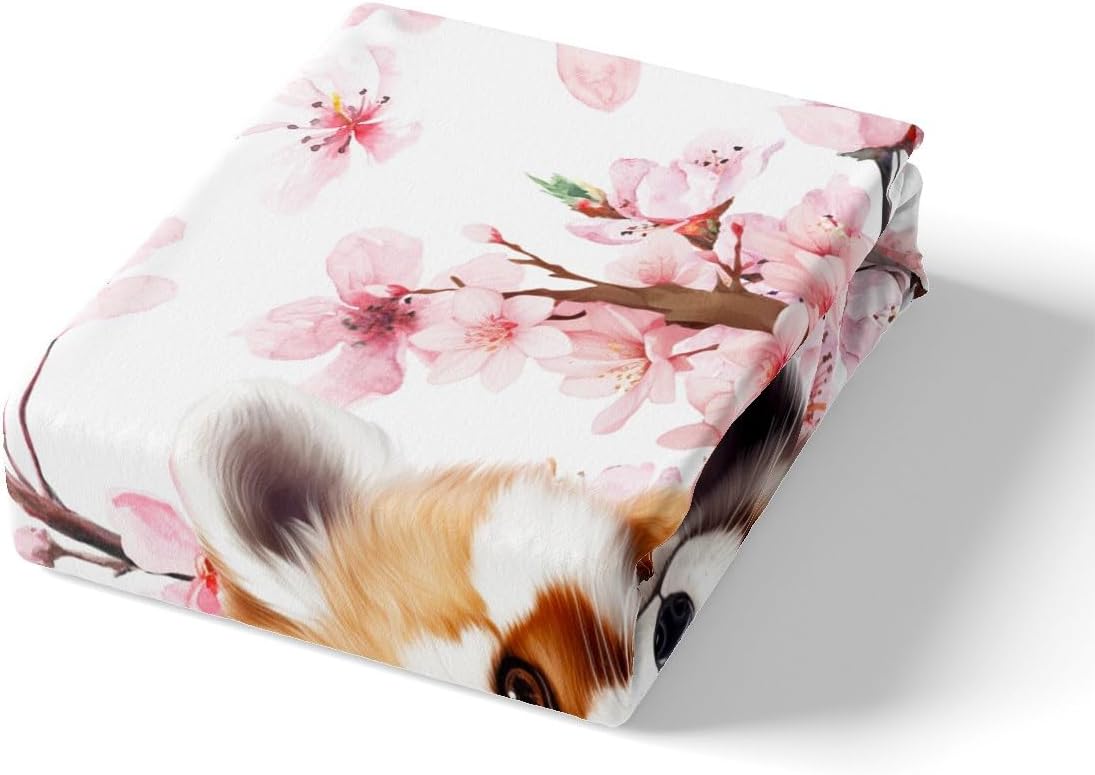Manfei Red Panda Kawaii Bedding Set Twin Size