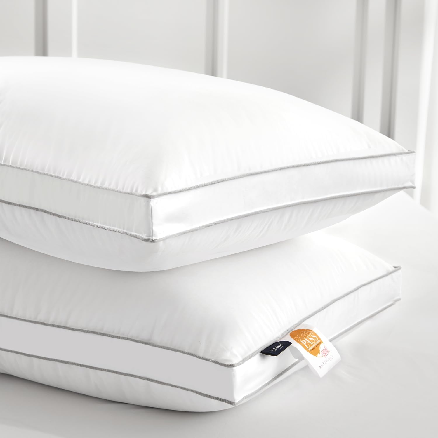Globon Luxury Down Pillow King Size Set of 2