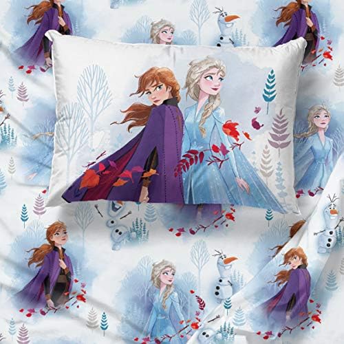 Jay Franco Disney Frozen 2 3 Piece Twin Sheet Set