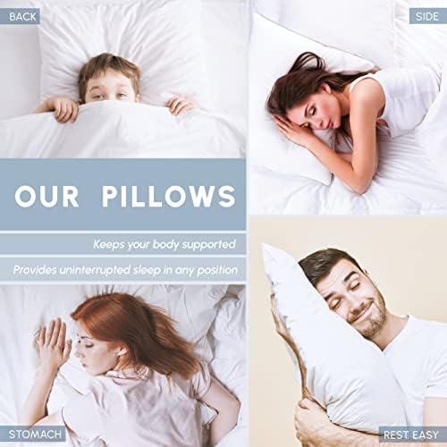 Elegant Comfort 100 Cotton Shell Stripe Hotel Pillows 2-Pack