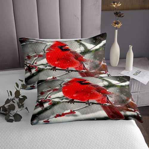 Erosebridal Boys Cardinals Bedspread Queen Size
