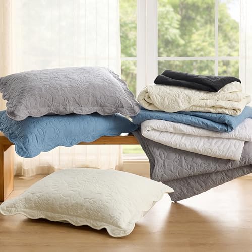 Bedsure Queen Quilt Set - Ultra Soft Lightweight Leaf Design