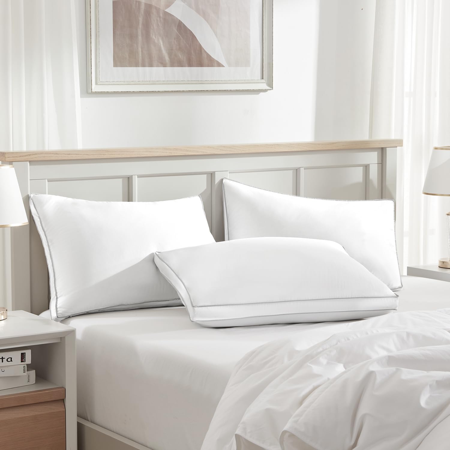 Globon Luxury Down Pillow King Size Set of 2