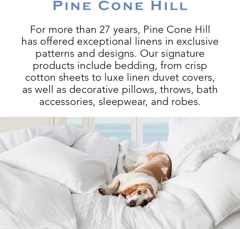 Pine Cone Hill Taffeta Floral Pillow Sham Euro Size
