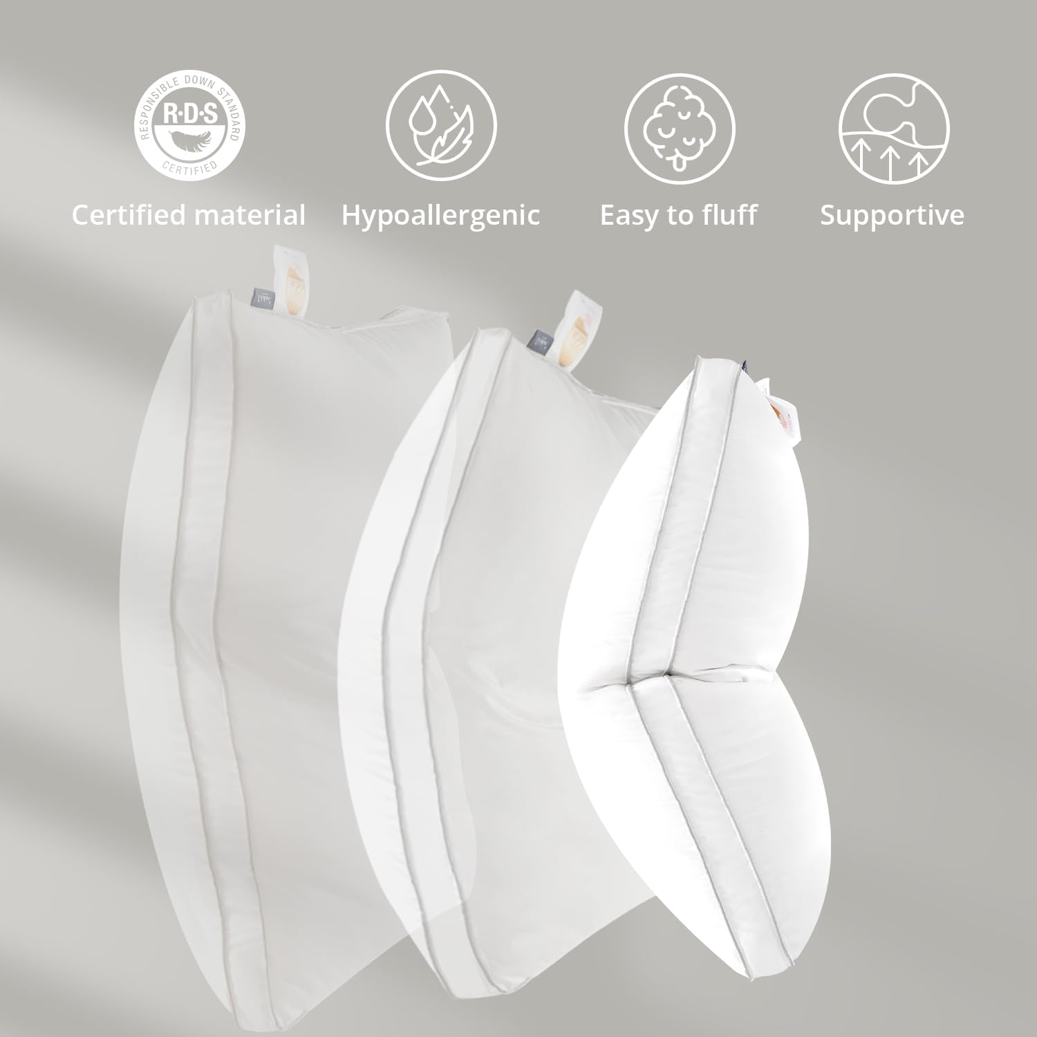 Globon Luxury Down Pillow King Size Set of 2