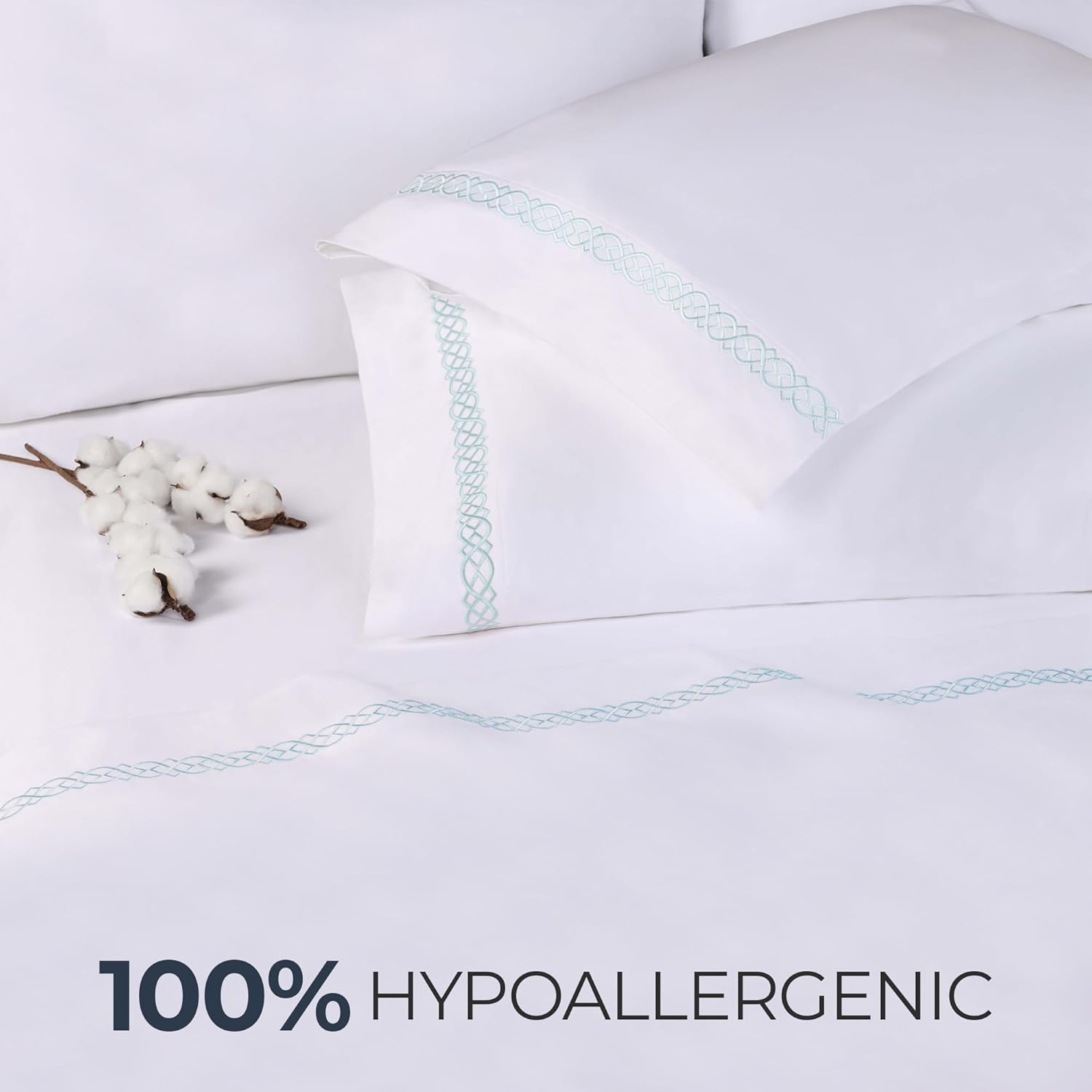 BLUENILEMILLS Egyptian Cotton Embroidered Pillowcase Set 2 Pack