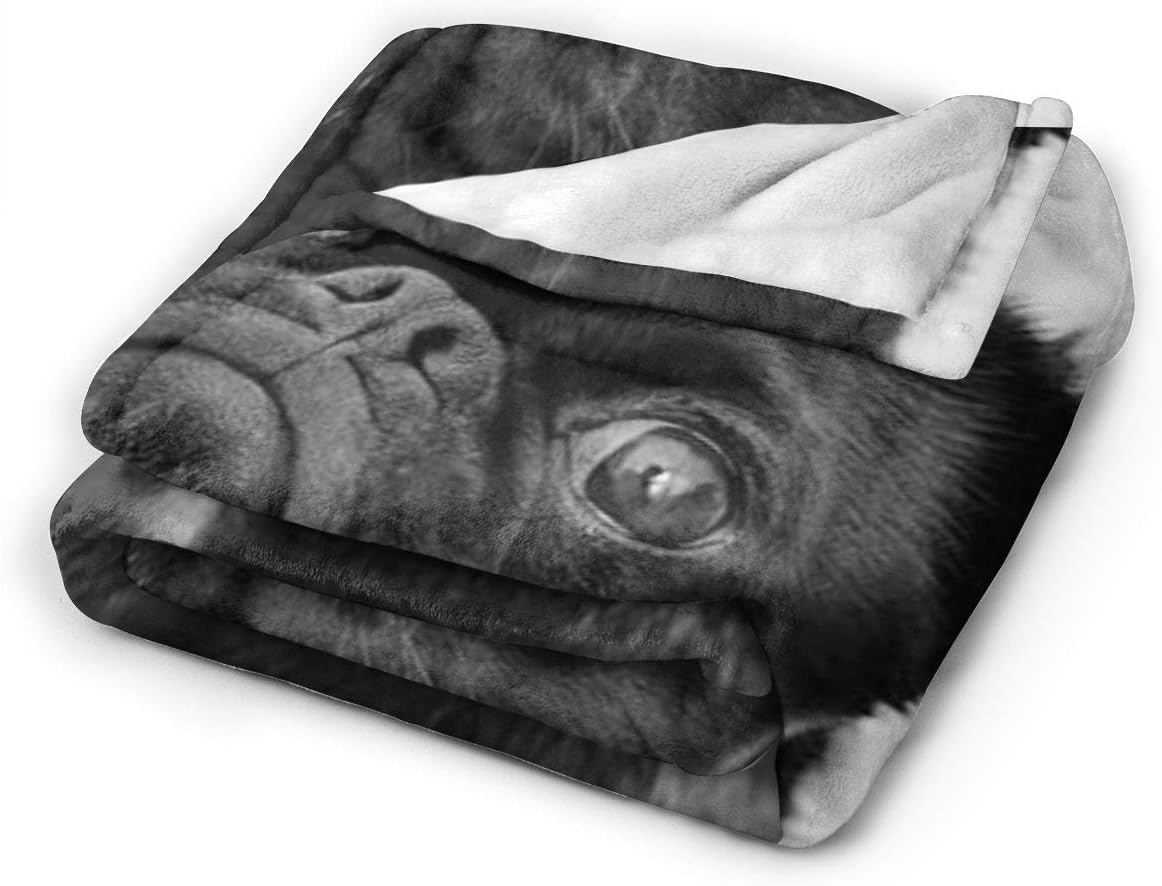 Cute Black Pug Printed Micro Fleece Throw Blanket