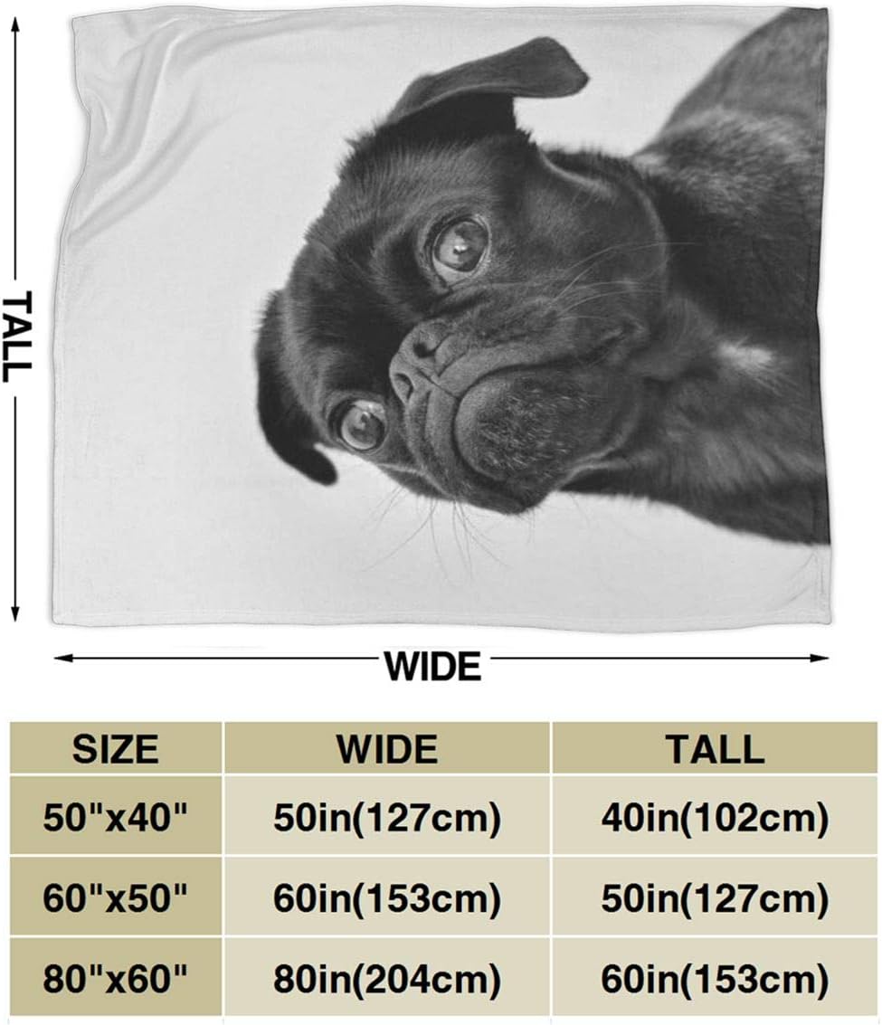 Cute Black Pug Printed Micro Fleece Throw Blanket