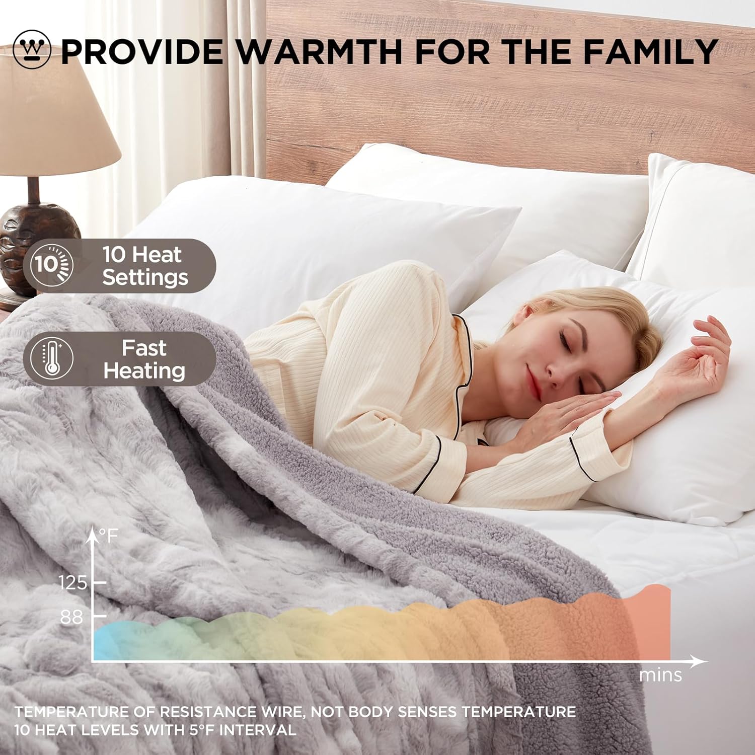Westinghouse Electric Blanket Queen with Faux Fur and 10 Heat Levels