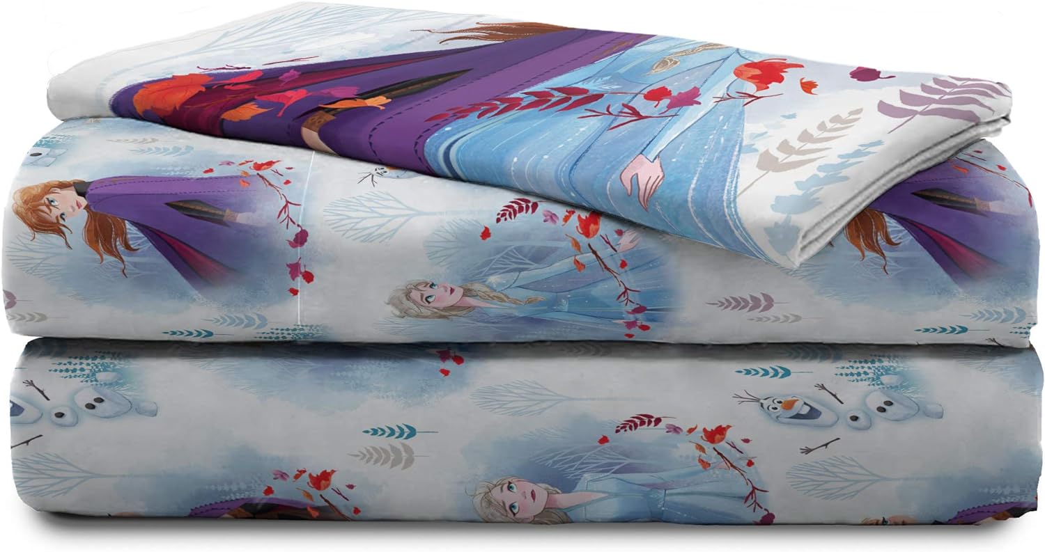 Jay Franco Disney Frozen 2 3 Piece Twin Sheet Set