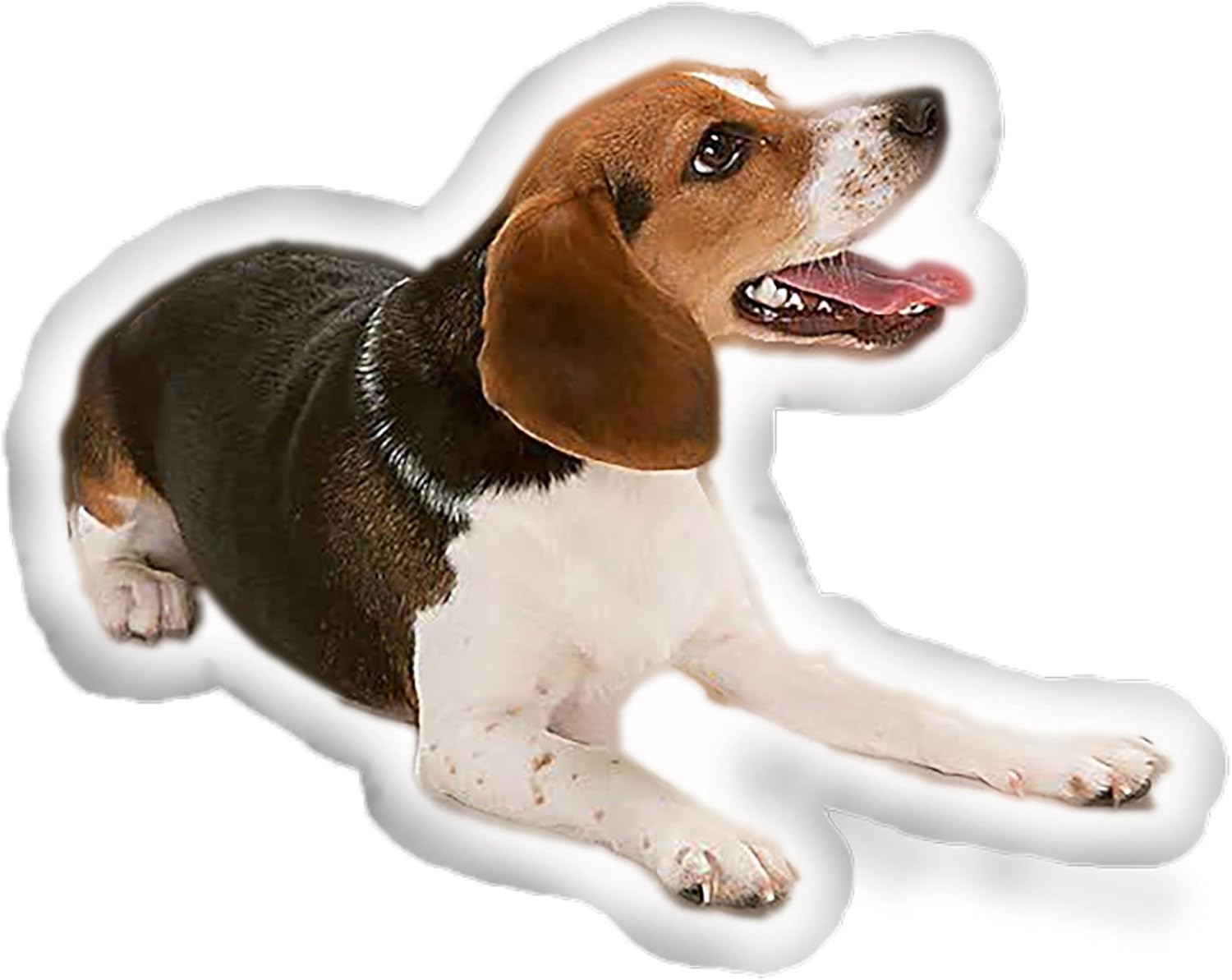 Custom Pet Pillow with Personalized Photo White